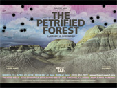 The Petrified Forest